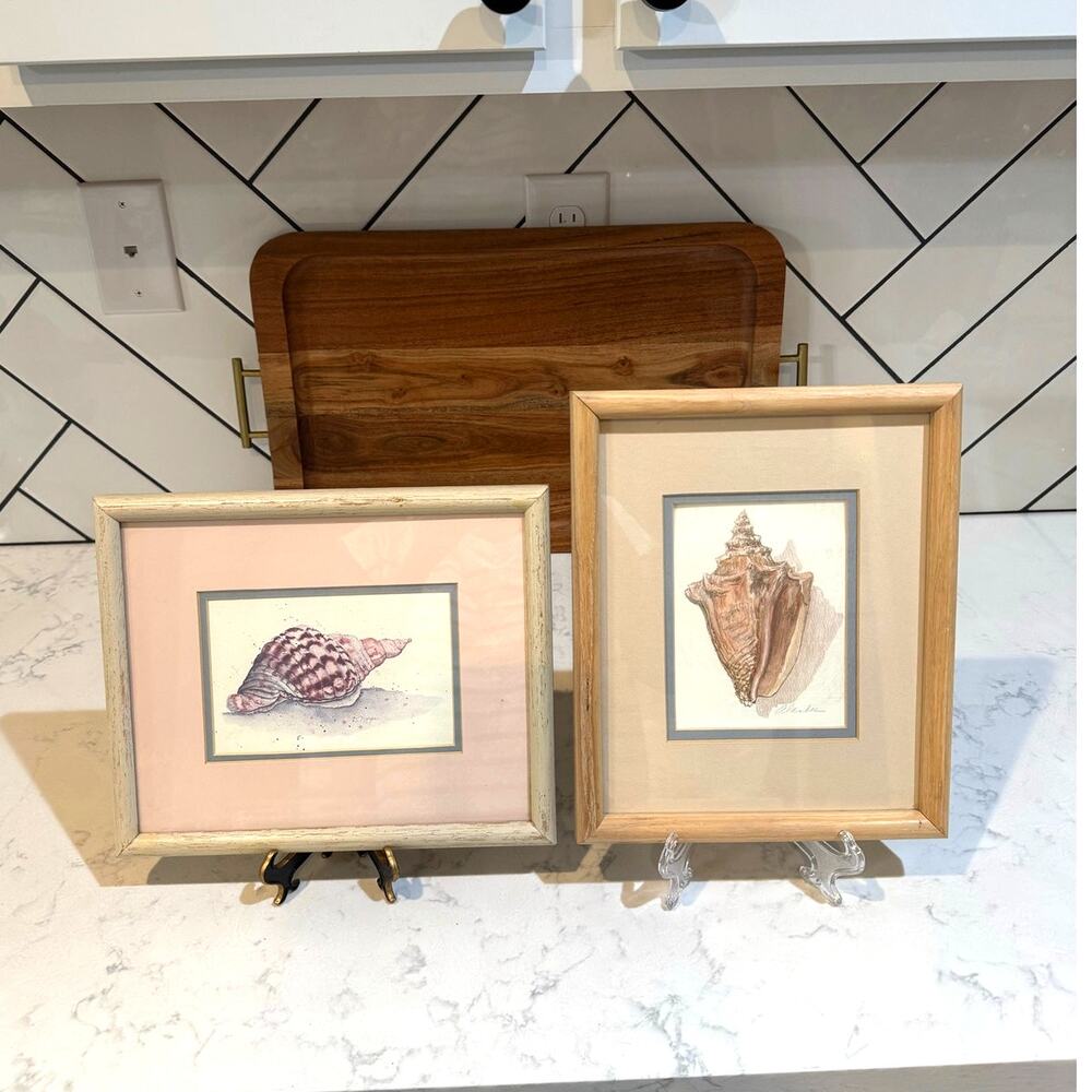 Vintage Print of original water color by Alan Bee seashells x2 late 80s 90s